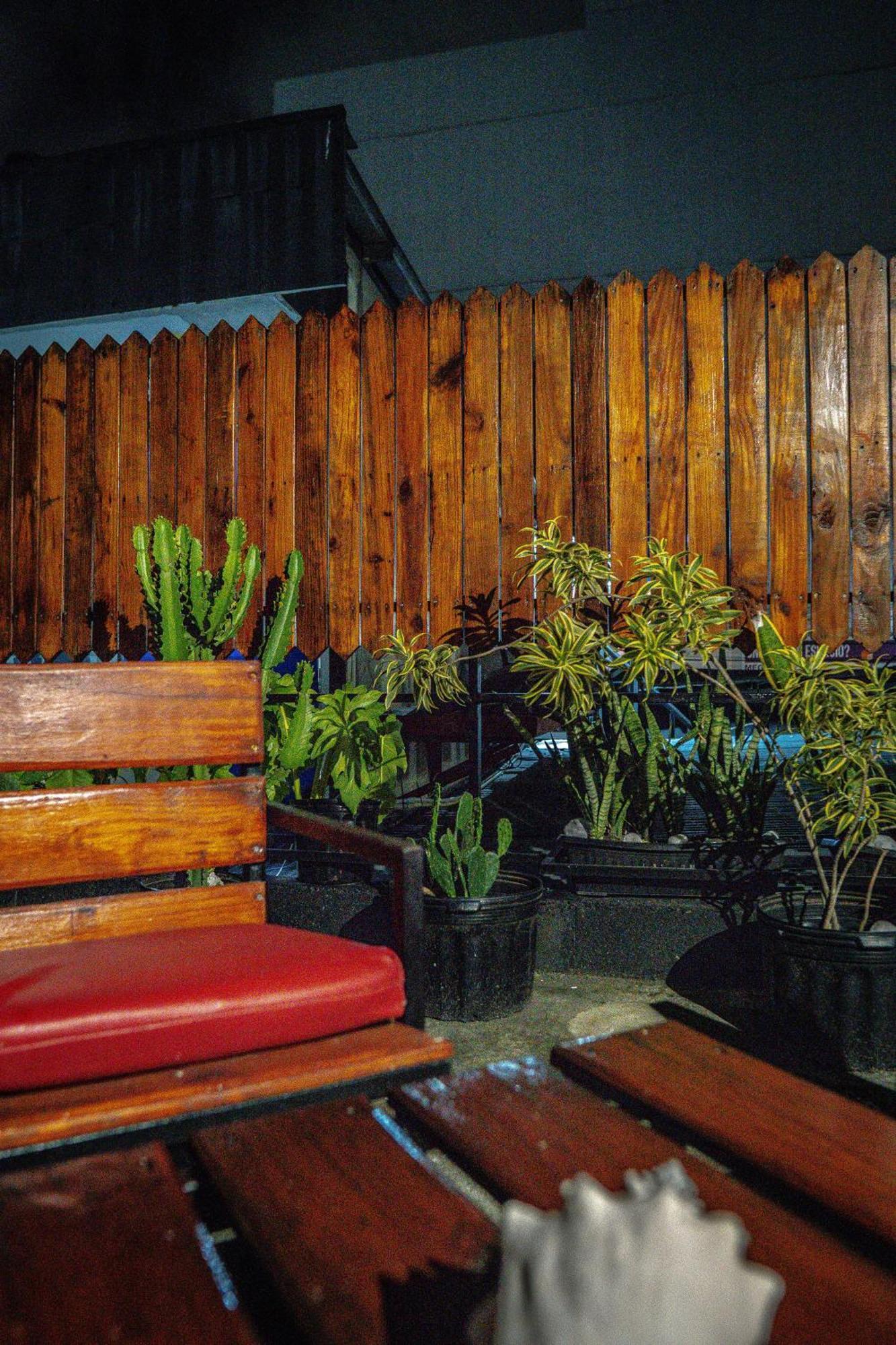 Eden'S Garden Hostel Panama City Exterior photo